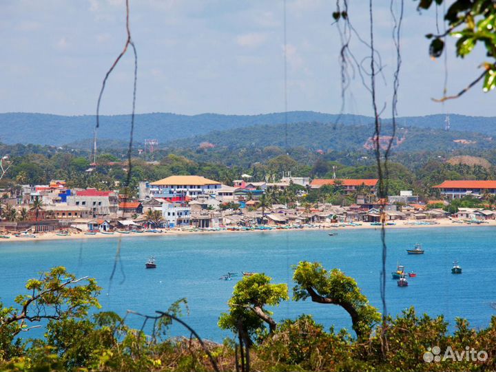 Эксклюзив-тур на Sri Lanky 7 дн