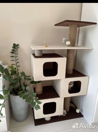 Комплекс для кошек