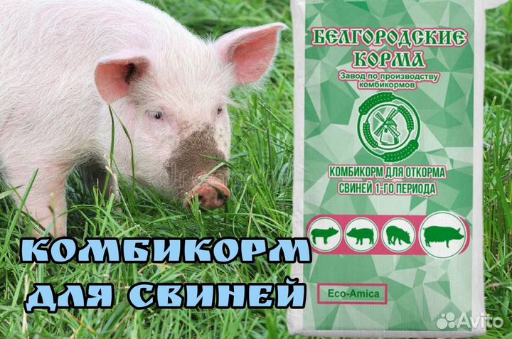 Полнорационные комбикорма для свиней и поросят