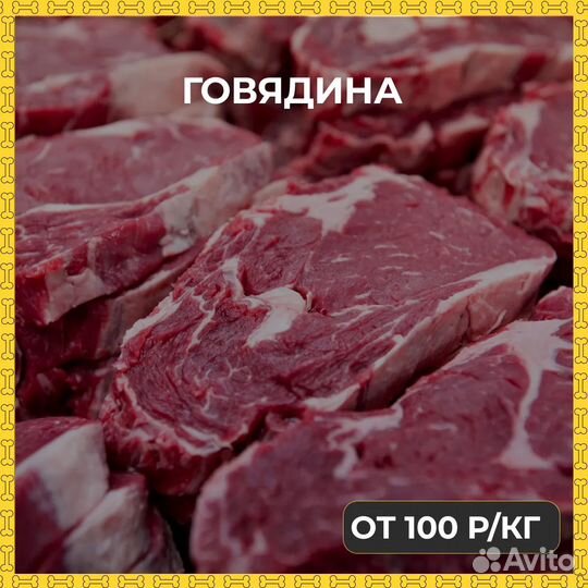 Мясо и субпродукты для животных в Коммунаре