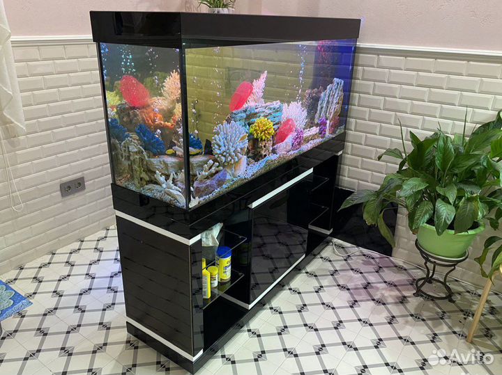 Обслуживание аквариумов (чистка, лечение)