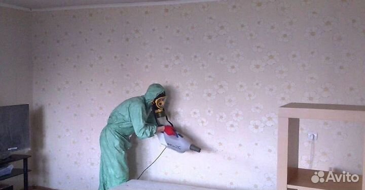 Средство для Уничтожения клопов травли тараканов, блох