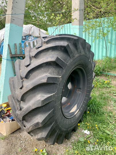 Покрышка с дискам