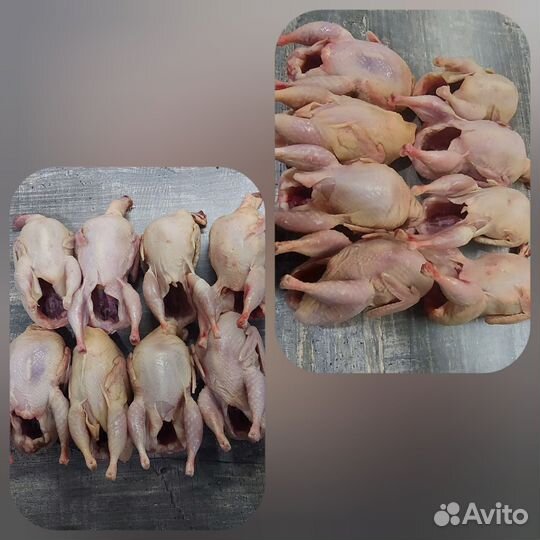 Мясо перепелов