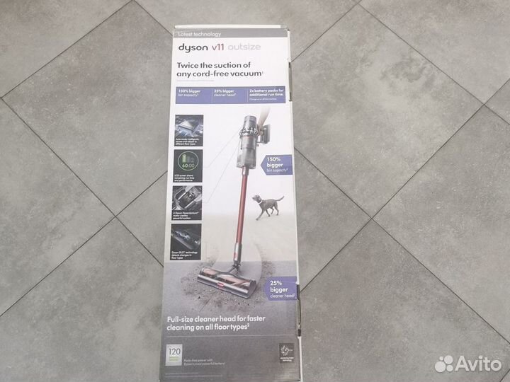 Dyson v11 outside