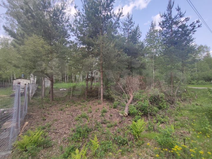 Участок 6 сот. (СНТ, ДНП)