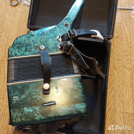 Аккордеон юность3