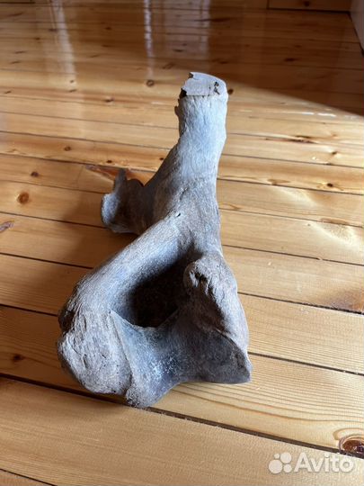 Кость мамонта