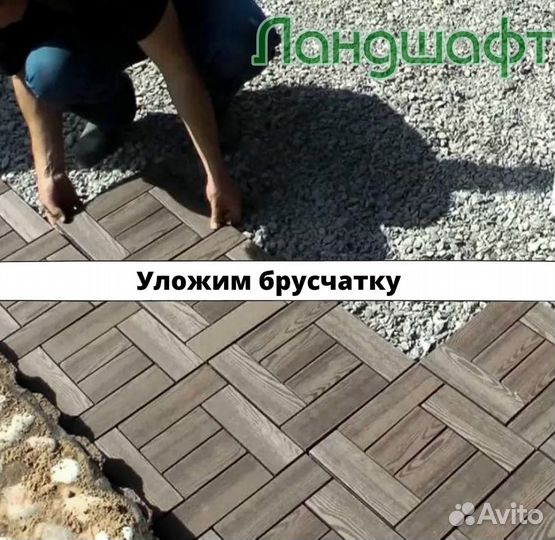Высший сорт рулонного газона в рулонах мо