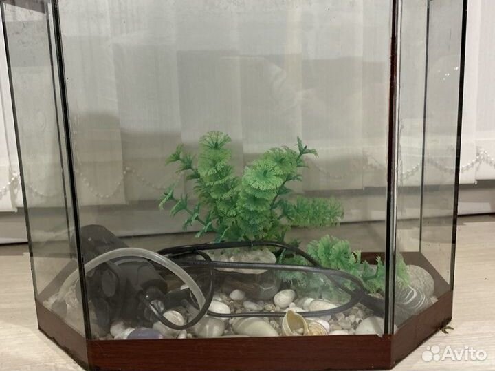 Аквариум