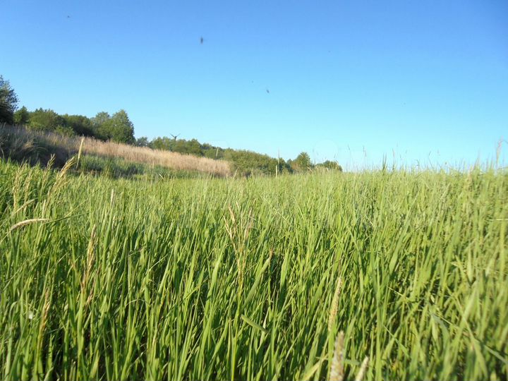 Участок 3 га (СНТ, ДНП)