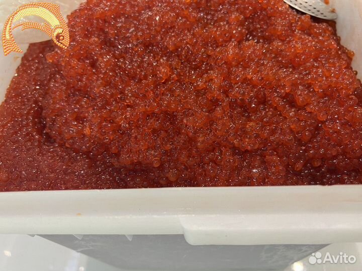 Красная икра Кижуч. Оптом