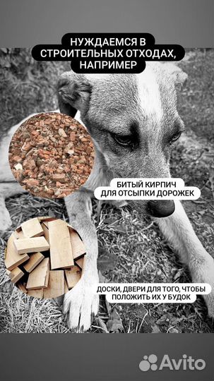 Будки, строй отходы, кирпич, камни, щебень