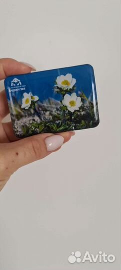 Фляжка из нержавейки 0,5л из нац парка Берингия