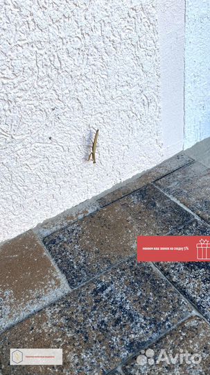 Тротуарная плитка