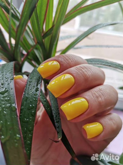 Маникюр с выездом на дом, ст. катрин, Королева 10