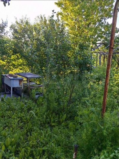 Участок 8,5 сот. (СНТ, ДНП)