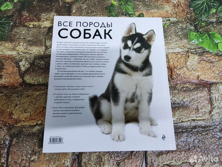 Книга Все породы собак. Новая