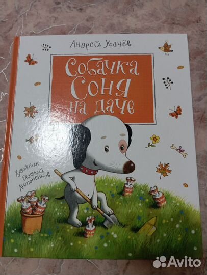 Собачка Соня на даче