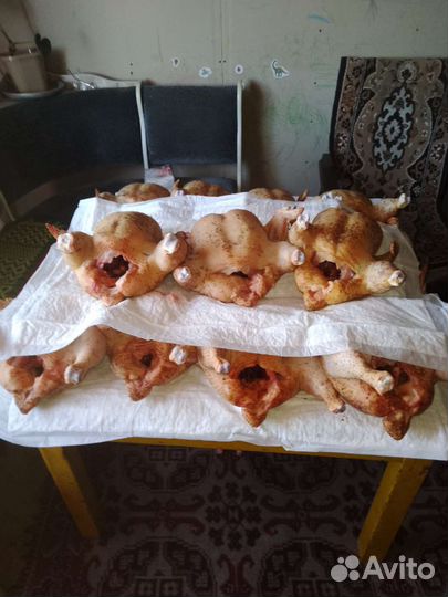 Масо домашнего бройлера