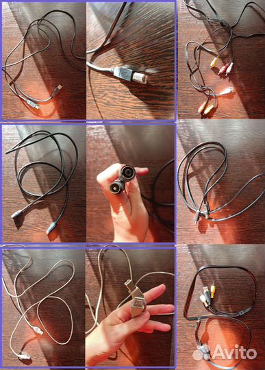 Тюльпаны провода