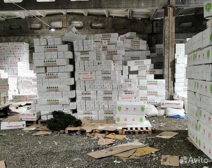 Искусственные ёлки оптом