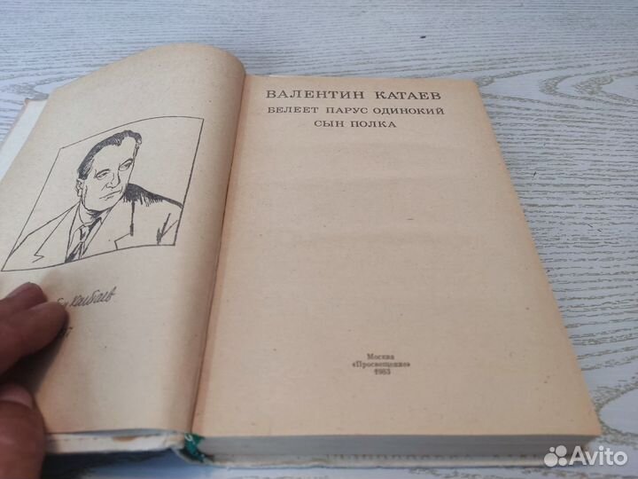 Валентин катаев белеет парус одинокий, сын полка