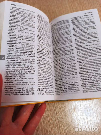 Карманный словарь русского языка Langenscheidt