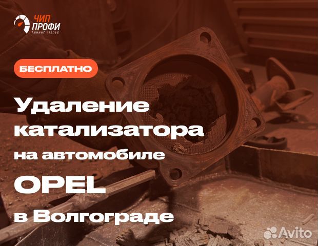 Бесплатное удаление катализатора Opel