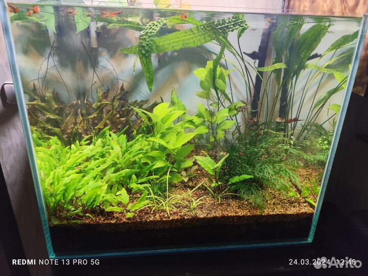 Аквариум с тумбой