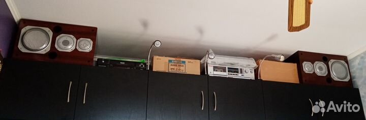 Бриг-001 и колонки Эстония 35ас-021