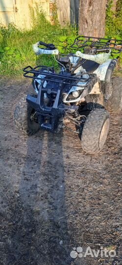 Avantis hunter 8+ lite