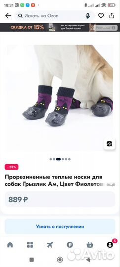 Носки для собак прорезиненные