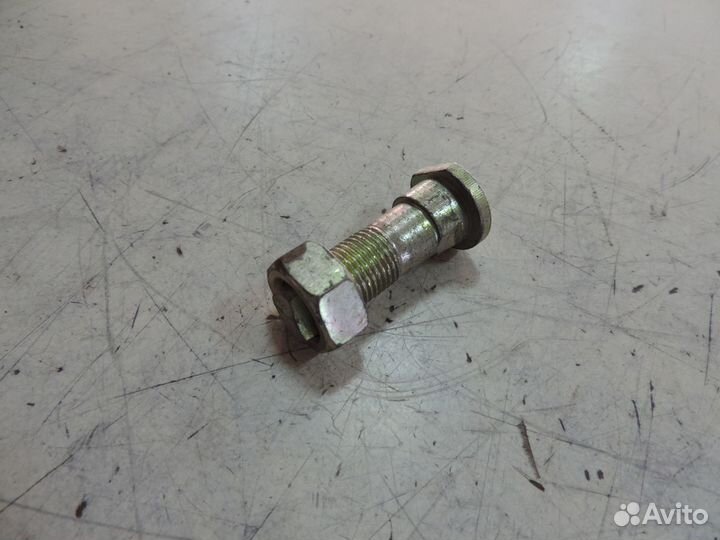 Палец (болт) эксцентрика в сборе газ-53.3307