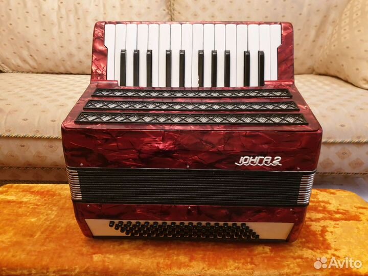 Аккордеон Юнга 2. Размер 1/2. Видео