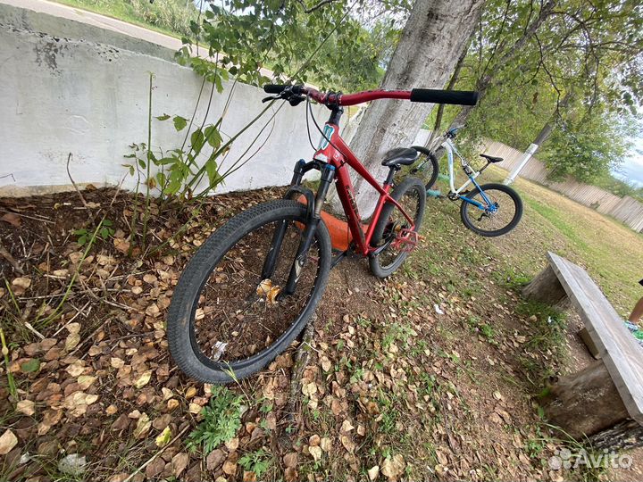 Лясик под стант;)