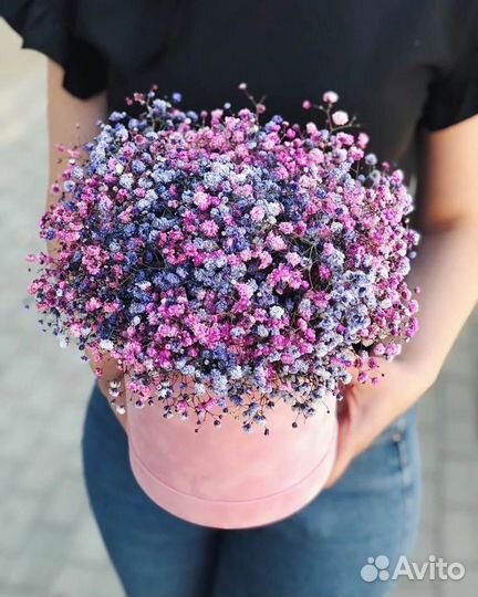 Гипсофила розовая