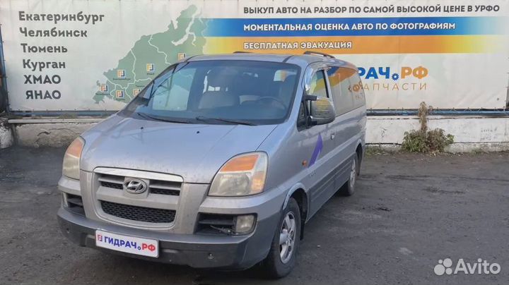Петли двери передней левой Hyundai Starex (A1)