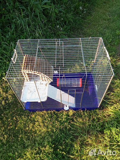 Клетка для грызунов большая