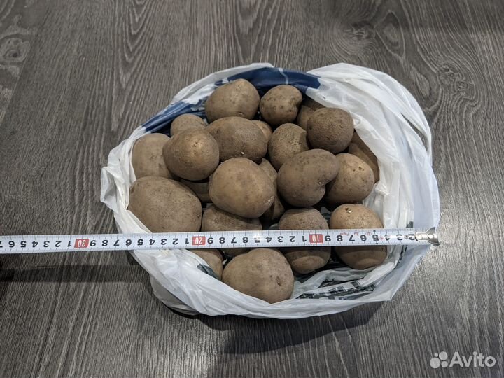 Картофель из ямы