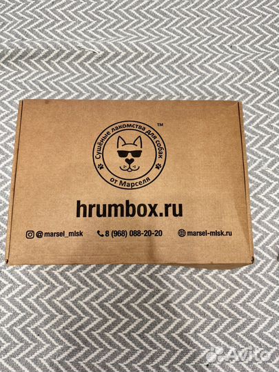 Лопаточный хрящ