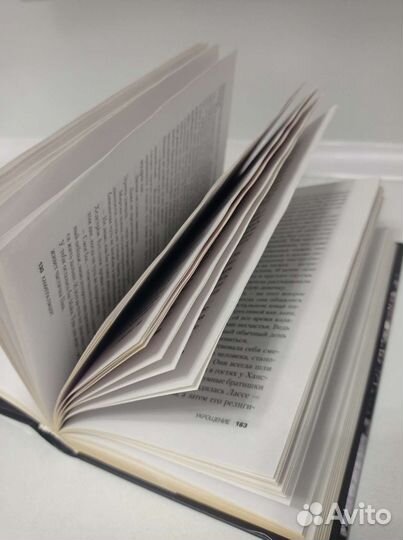 Камилла Лэкберг - Укрощение