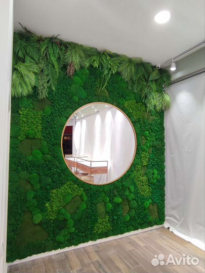 Стабилизированный мох