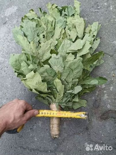 Веник для бани и травы Полынь Донник опт