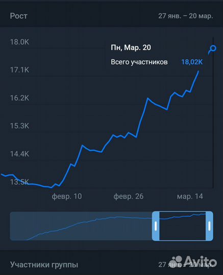 Продвижение Телеграм и Иг. Опытный Таргетолог