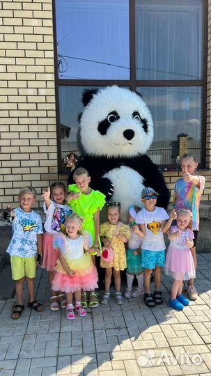 Ростовая кукла Медведь Панда Поздравление