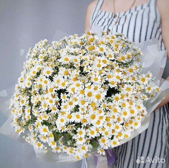 Ромашки букет