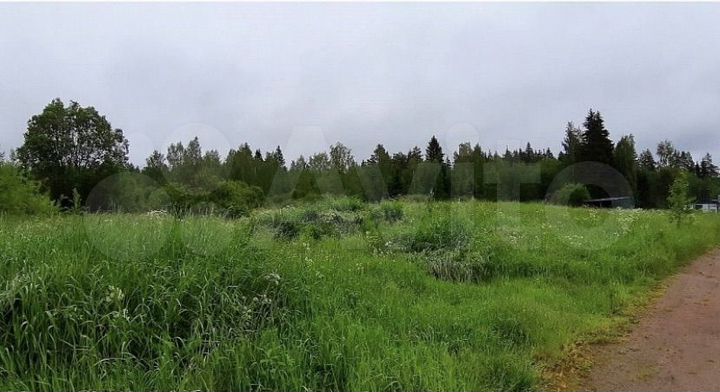 Участок 10 сот. (ИЖС)