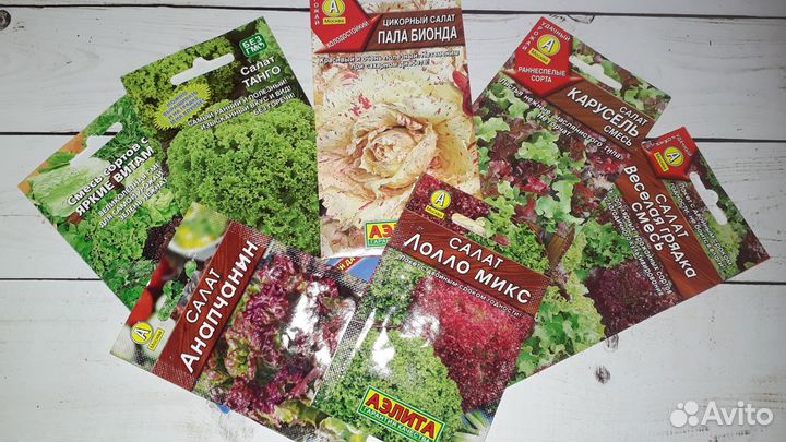 Семена зелени