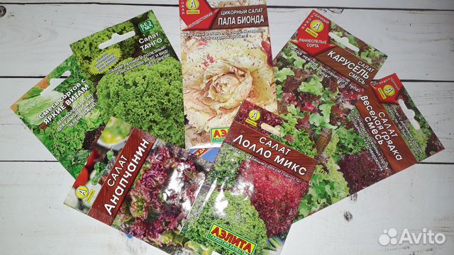 Семена зелени